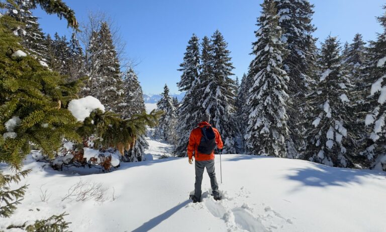 FRENCH ALPS: Winter Forest Hike (8K 3D VR180)
