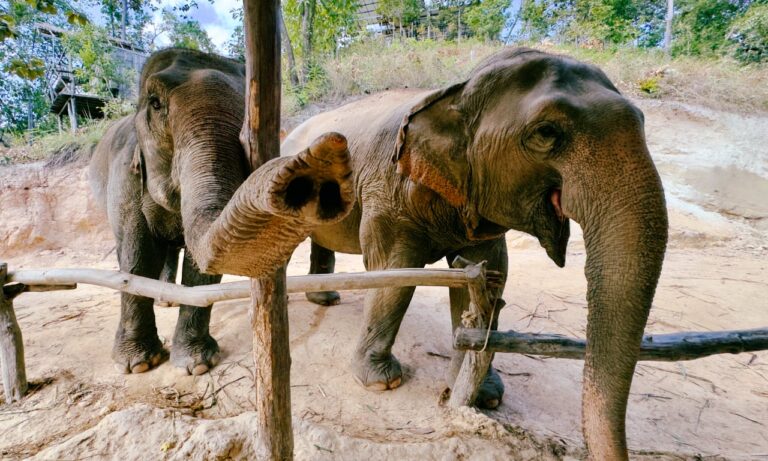 Thailand Virtual Tour